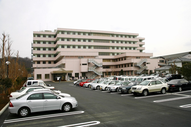医療法人　大和会　西毛病院